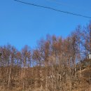 거창산림레포츠파크 이미지