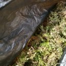 오로라가든 펜션 이미지