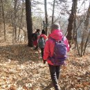 화서 사거리1 이미지