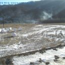 태성리경로당 네이버블로그