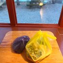 속초 맛집 추천 청호활어회센터 가성비 횟집 (ft. 승희수산)