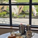 초록미소환경 | 제주도 카이막 맛집 아침미소목장 솔직 후기
