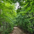 8월17일(일)12우이령전면통제/변경공지우이신설선 가오리역에만납니다. 이미지