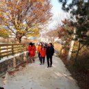 정학농장 이미지