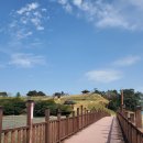 완도 장좌리 당제 및 당굿 | #완도기도터#장군섬#청해진🌄 🏞흔적없이 다니시고 재수받아 가십시유.
