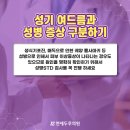 이상피부비뇨기과 네이버블로그
