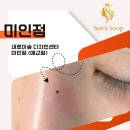 미인점 하나 찍었더니 생긴 일, 일산동구 백석동 후기