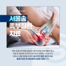 서울송마취통증의학과