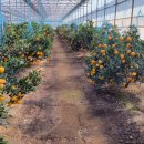 달은농장 이미지