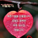 9월 9일(월) 출석글/ 이런 인연으로 살아가요. 이미지