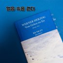 몽상공장 | 얼음 속을 걷다 I 몽상과 현실이 뒤섞인 어느 기이하고 아름다운 여행기