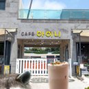 우도로93