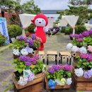 안덕체육관(야외) 이미지