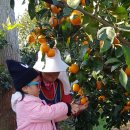 삼일산장 이미지