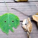 수지생태공원 이미지