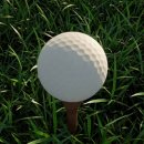 싱글골프존스크린 이미지