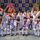 용인대 미르 태권도장 이미지