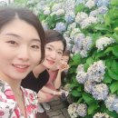 안덕면행정복지센터 이미지