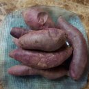 천등산농장 이미지