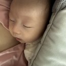 0526 카네이션 이미지