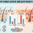 ​커브얼라이브, 한국인 1053명 대상 피부 미생물-신체 지표 분석 연구 SCIE 등재 이미지