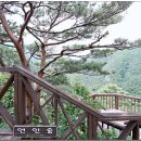 강릉솔향수목원 이미지