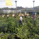 승자농장 이미지