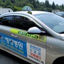 사천시 특별교통수단 이미지