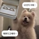 쥬얼리골드 - 수원시 영통구 매탄로 158 | 종로 150만원 이하(100만원대) 가성비 웨딩밴드 투어 밀알쥬얼리, 차차골드 견적/계약/수령 후기