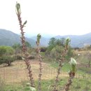 산골이야기 이미지