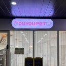 미용1 | 문정동 애견미용 두유펫 - 장모닥스훈트 1cm 클리핑 미용 대만족 후기