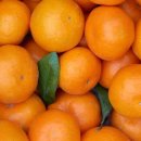 산남농장 이미지