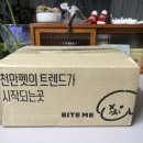 다다점핑 | 강아지장난감 바잇미 점핑부기 움직이는 노즈워크 후기(출시임박)