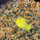 한국추어탕 이미지