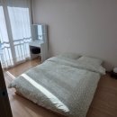 포레스트 월악 이미지