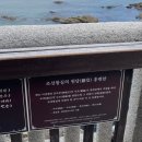 양양가볼만한곳 양양 낙산사 해수관음상 의상대 홍련암 유모차 대여 후기