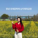올원푸드 | 2026 창녕 낙동강유채꽃축제 다녀온 후기