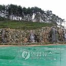 사임당로공원 이미지