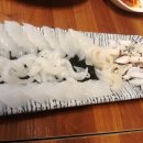 제주토끼 이미지