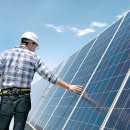 태양팜스 이미지