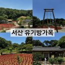 수선화 - 부산진구 연수로 15 | 서산 유기방가옥 후기｜수선화 시즌이 아니어도 산책은 좋았던 서산 여행 코스