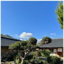 돌담 민박 | 보성한옥민박 조용한 시골 돌담마을에서 찾은 나만의 쉼