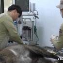 국립공원공단 국립공원야생생물보전원 북부보전센터 이미지