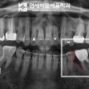 바로세움치과의원 이미지