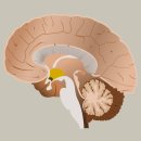 음성한의원 이미지