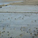 사명대사생가로 이미지