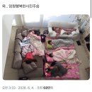 반년후기