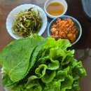20250525 옥천묵집 카페 오산코다리덕장 고아읍 상추 이미지