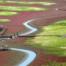 태평목욕탕 이미지