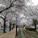 위양지를 무심히 흘려 보내고! - 밀양 부북면 가산(佳山)저수지 둘레길, 퇴로마을 탐방, 그리고 작은산 오르기~ 이미지